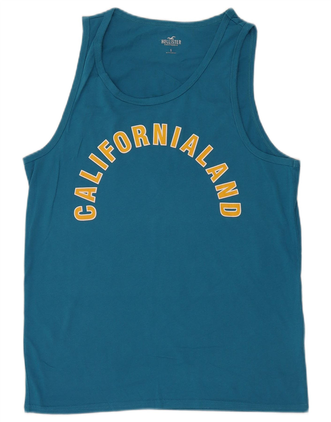 Γραφικό ανδρικό γιλέκο HOLLISTER Μικρό Βαμβακερό