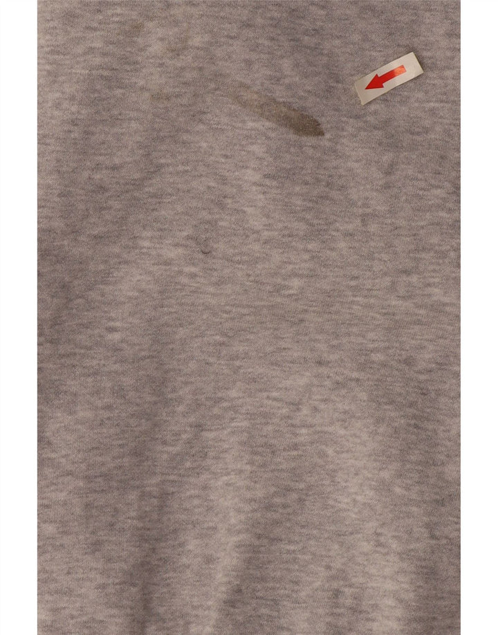 Γυναικείο γραφικό φούτερ Puma Jumper Μεσαίο γκρι βαμβακερό
