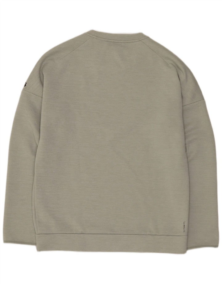 Ανδρικό φούτερ Adidas Graphic Regular Fit Jumper Μεσαίο πράσινο πολυεστέρας