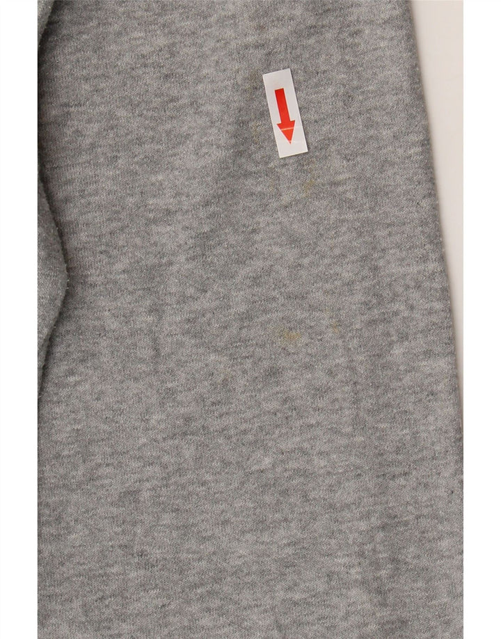 Ανδρική φόρμα Champion NY Rochester Graphic Top Jacket Large Grey Flecked