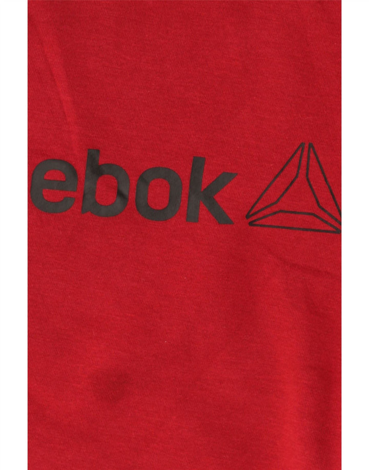 Ανδρικό γραφικό φούτερ Reebok Jumper Large Burgundy
