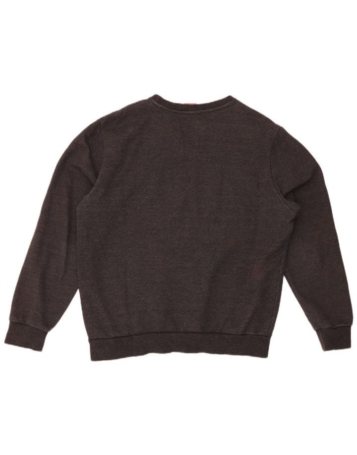 Ανδρικό φούτερ PUMA Jumper Μεσαίο γκρι βαμβακερό