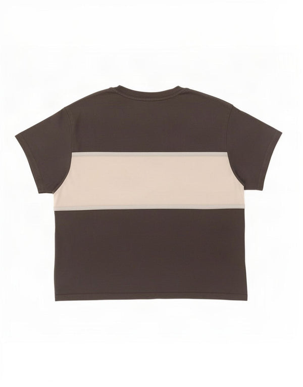 Γυναικείο μεγάλο γραφικό μπλουζάκι Levi's Top 10 Small Grey Colourblock