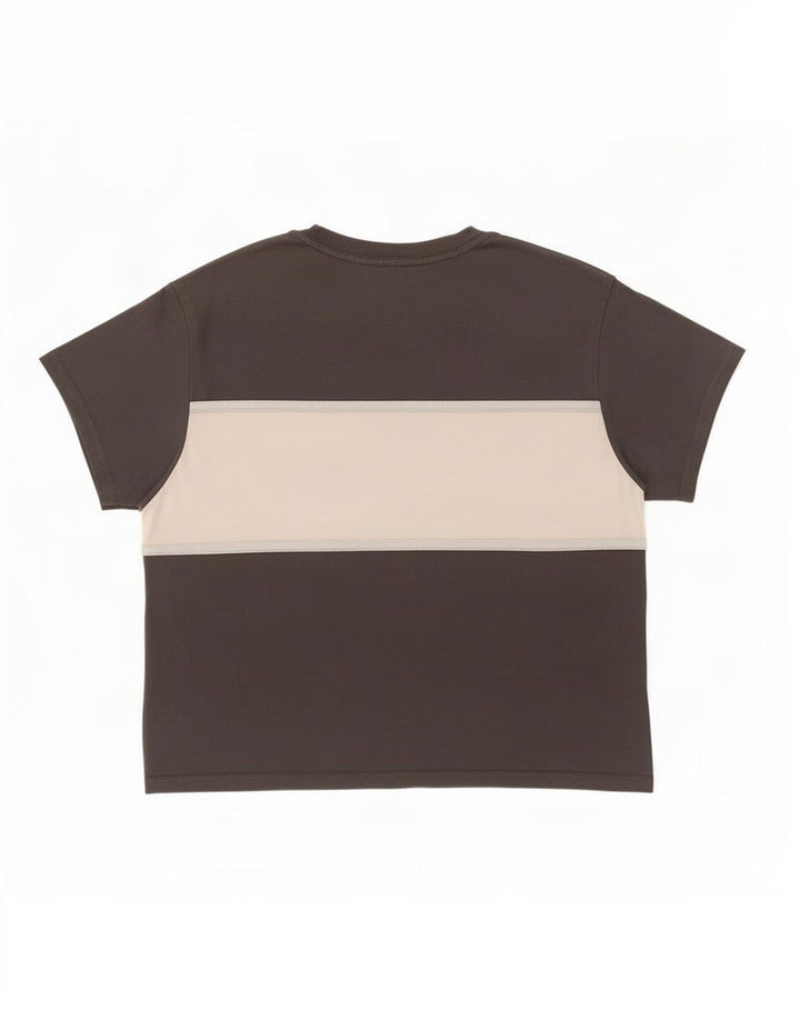 Γυναικείο μεγάλο γραφικό μπλουζάκι Levi's Top 10 Small Grey Colourblock