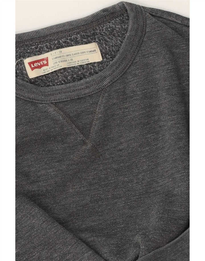 Ανδρικό φούτερ Levi's Jumper Small Grey
