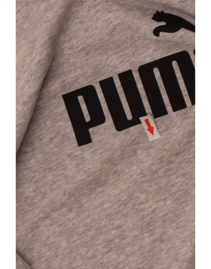 Γυναικείο γραφικό φούτερ Puma Jumper UK 12 Βαμβακερό μεσαίο γκρι