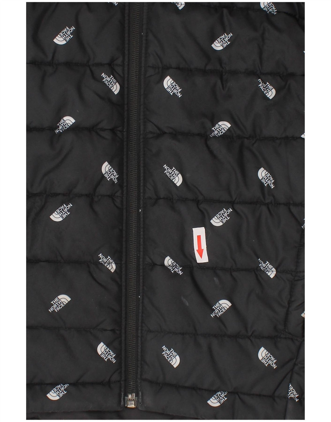 The North Face Boys Graphic Hooded Jacket padded 9-10 Years Medium Black