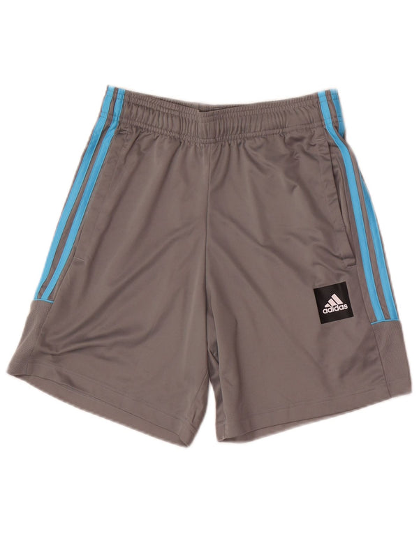 Ανδρικά γραφικά κανονικά σορτς Adidas Small Grey Sports