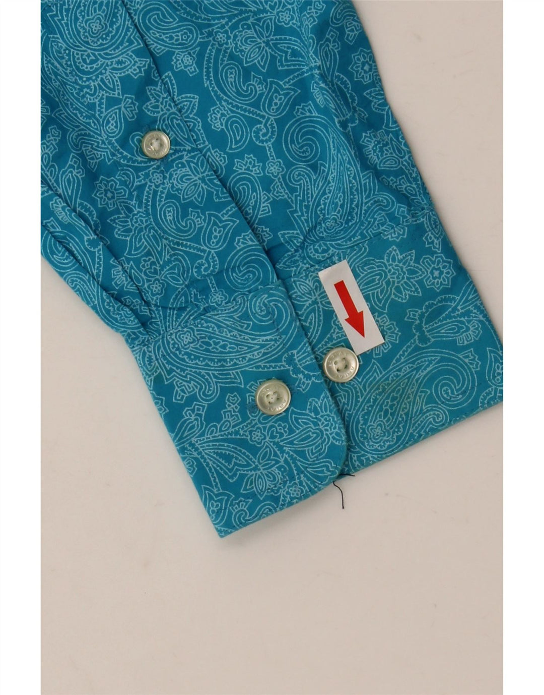 Ανδρικό πουκάμισο Ariat Μικρό Μπλε Paisley Βαμβακερό