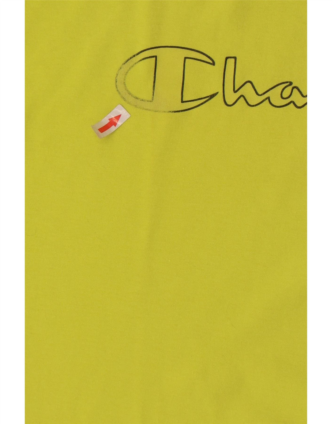 Ανδρικό γραφικό T-Shirt Champion Top Μεσαίο πράσινο βαμβακερό