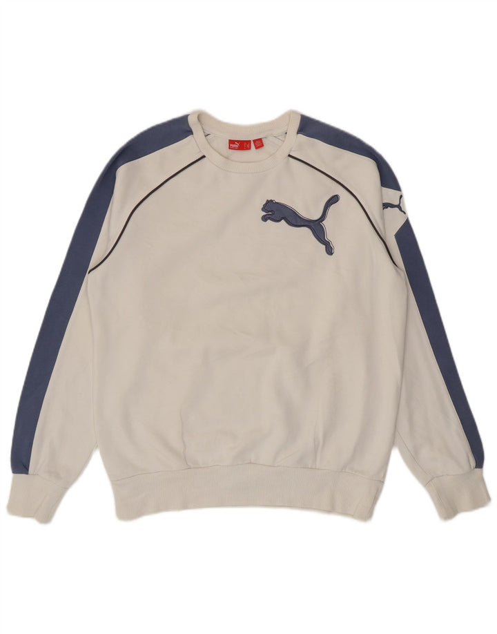 Ανδρικό γραφικό φούτερ Puma Jumper Μεσαίο λευκό χρώμα