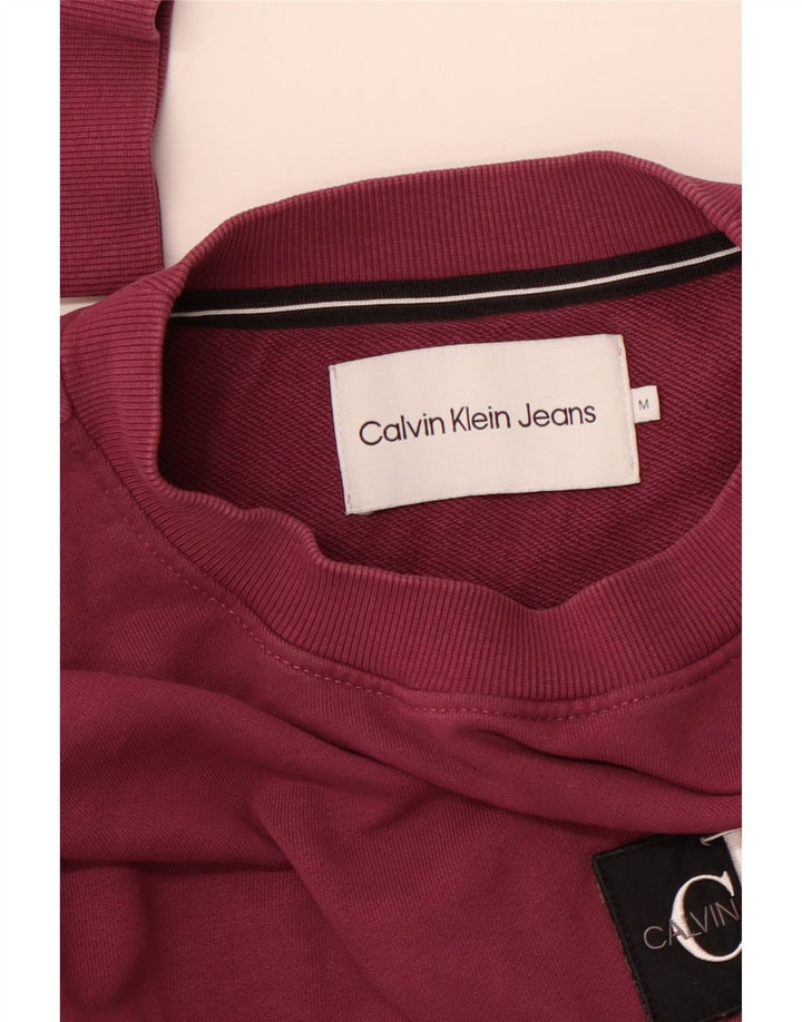 Ανδρικό γραφικό φούτερ CALVIN KLEIN JEANS μεσαίο μωβ