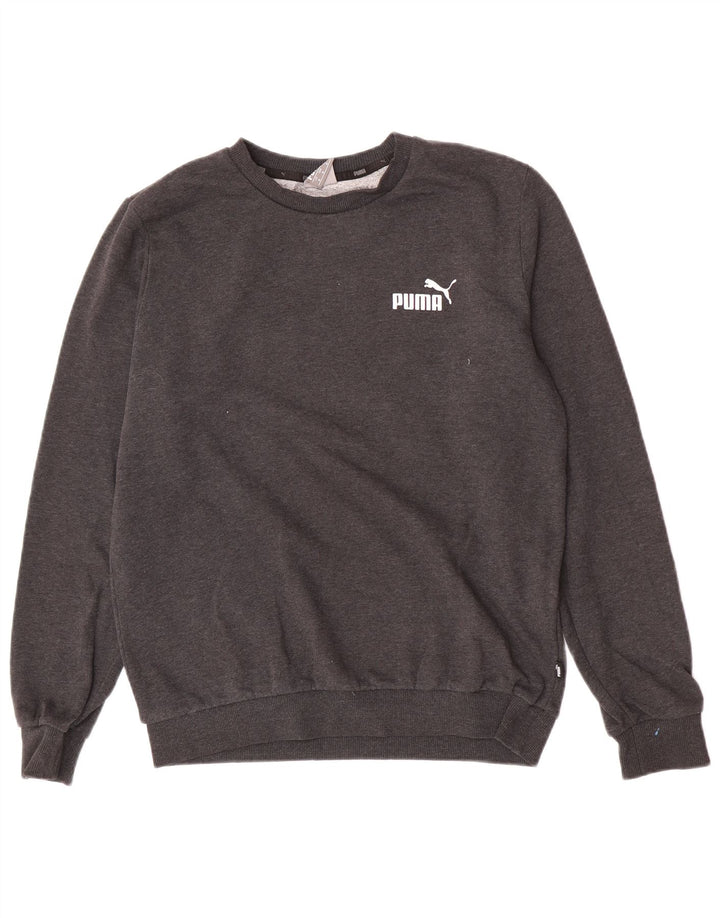 Ανδρικό φούτερ Puma Jumper Μεσαίο γκρι βαμβακερό