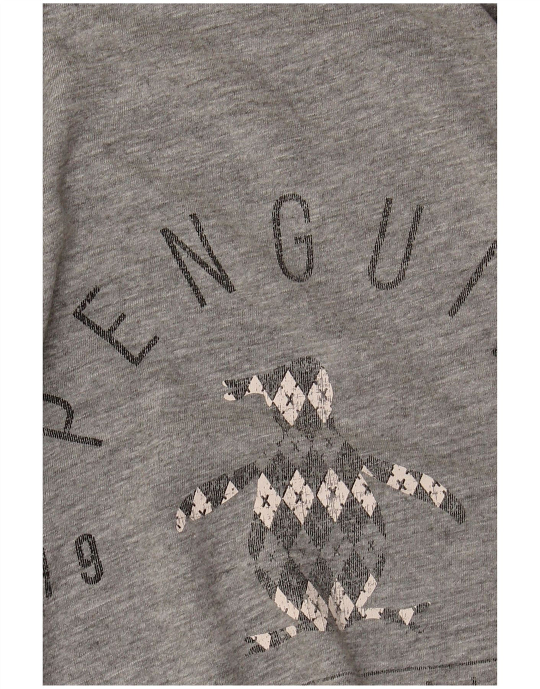 Ανδρικό γραφικό T-Shirt Penguin Top μεγάλο γκρι βαμβακερό