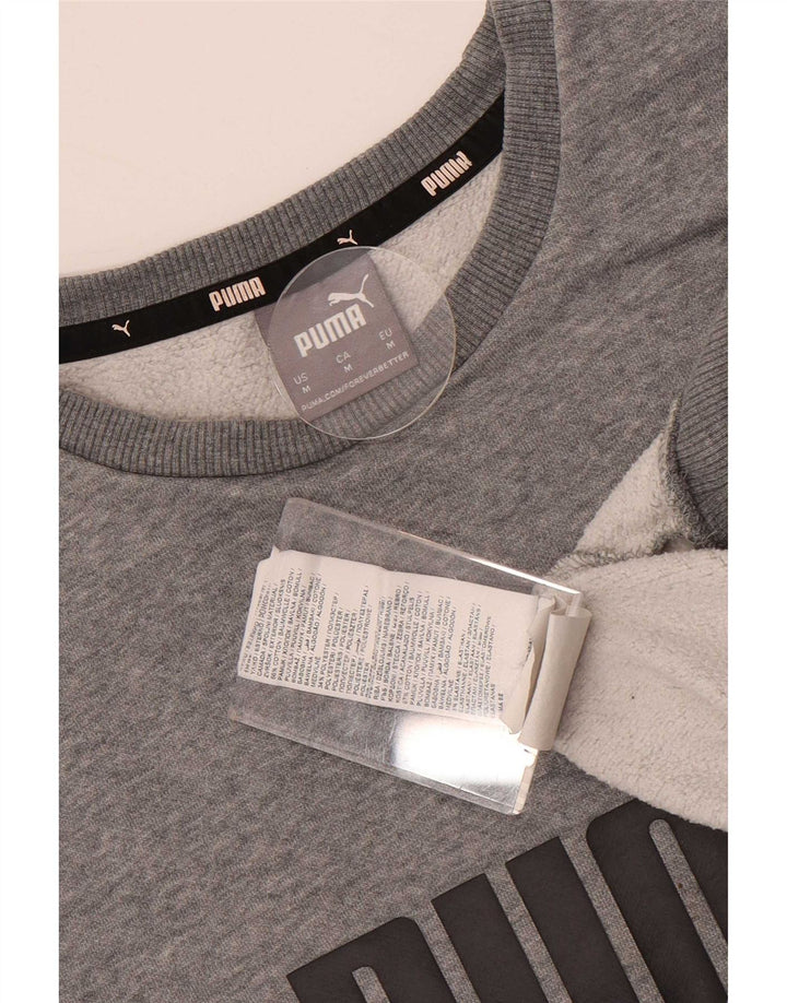 Ανδρικό γραφικό φούτερ Puma Jumper Μεσαίο γκρι βαμβακερό