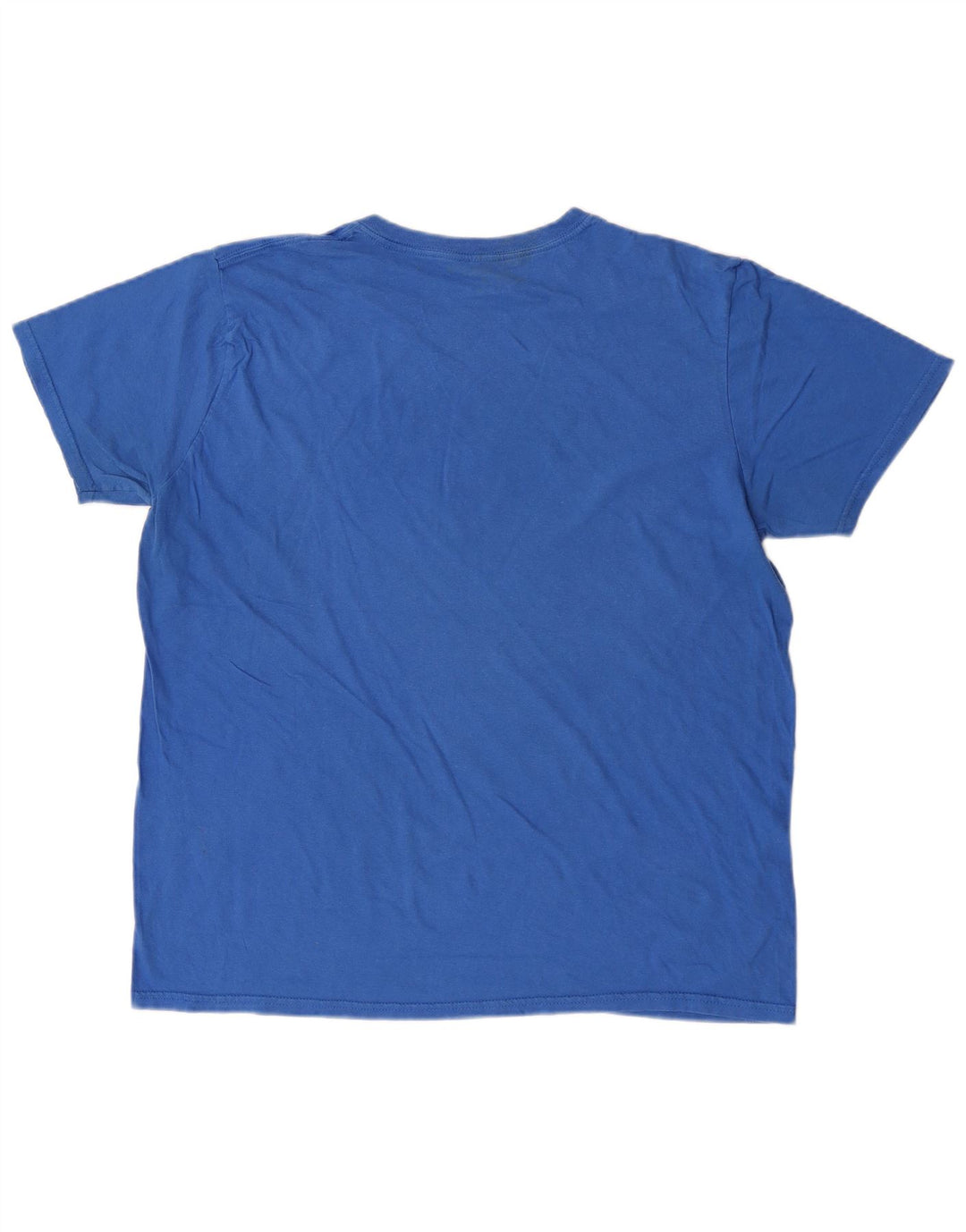 Ανδρικό γραφικό T-Shirt Reebok Top Large Blue