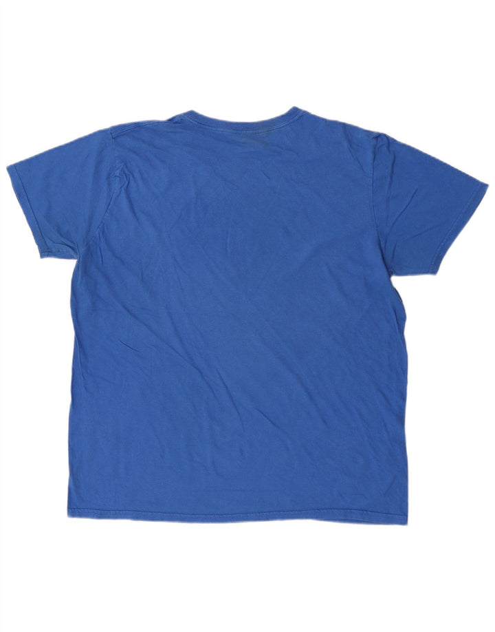 Ανδρικό γραφικό T-Shirt Reebok Top Large Blue