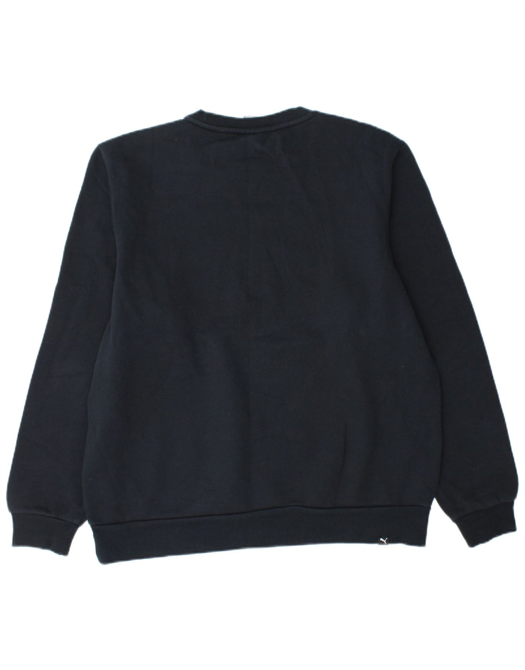 Ανδρικό γραφικό φούτερ Puma Jumper Μεγάλο Ναυτικό Βαμβακερό