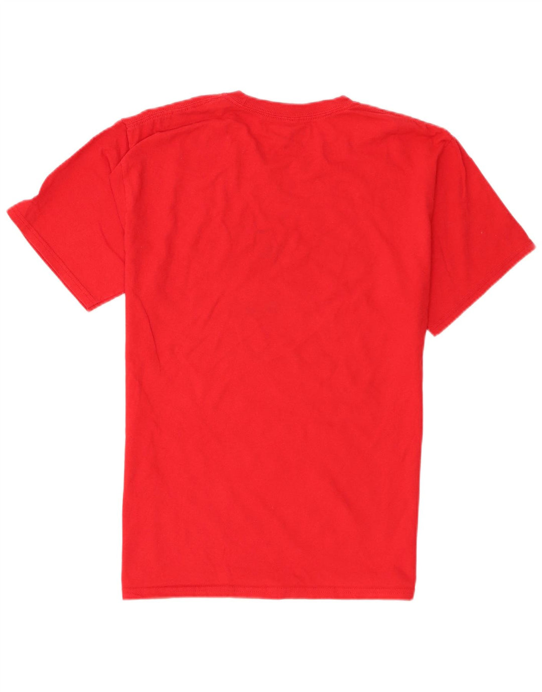 Champion Mens Ohio State Graphic T-Shirt Top Medium Red