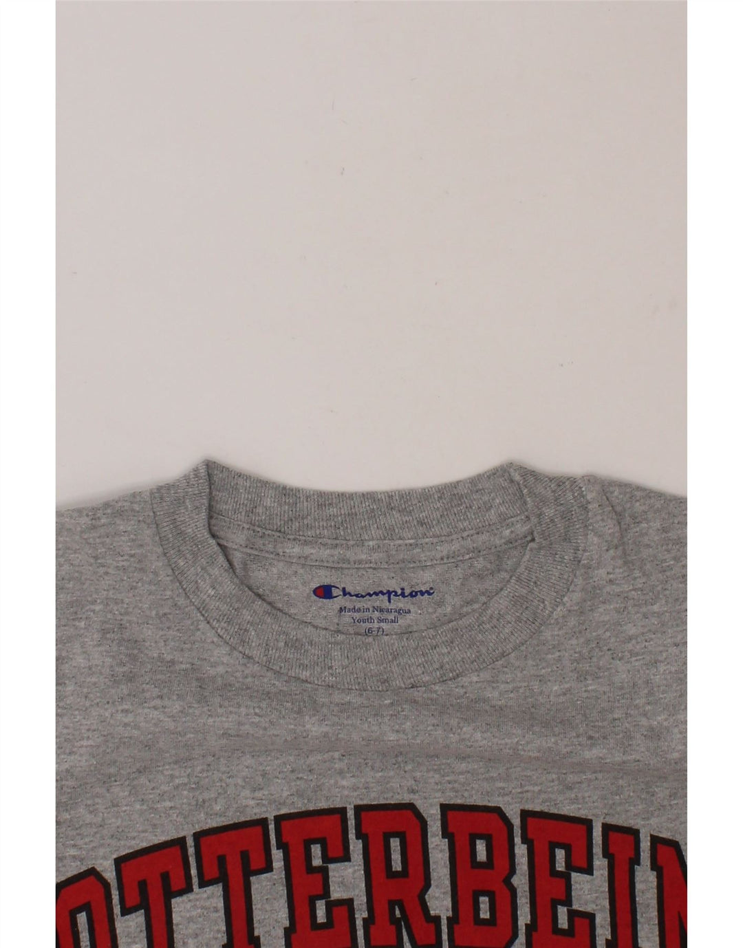CHAMPION Boys Graphic T-Shirt Top 6-7 Years Small Grey Vintage Champion and Second-Hand Champion from Messina Hembry 