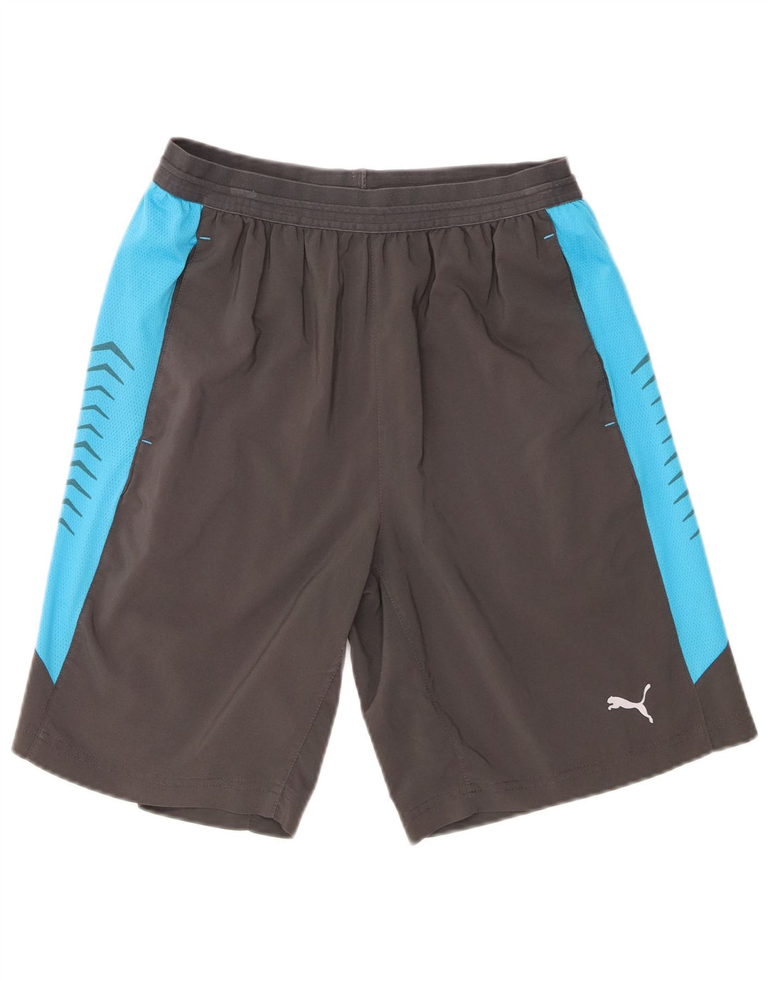 Ανδρικό αθλητικό σορτς Puma με μεσαίο γκρι χρώμα και πολυεστέρα