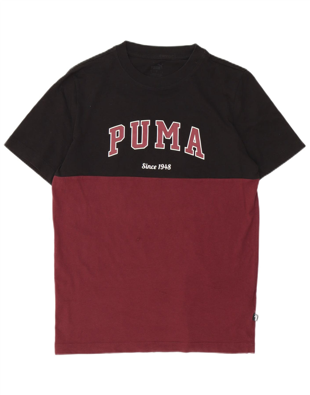 Ανδρικό γραφικό μπλουζάκι Puma, βαμβακερό, μικρό βαμβακερό χρώμα