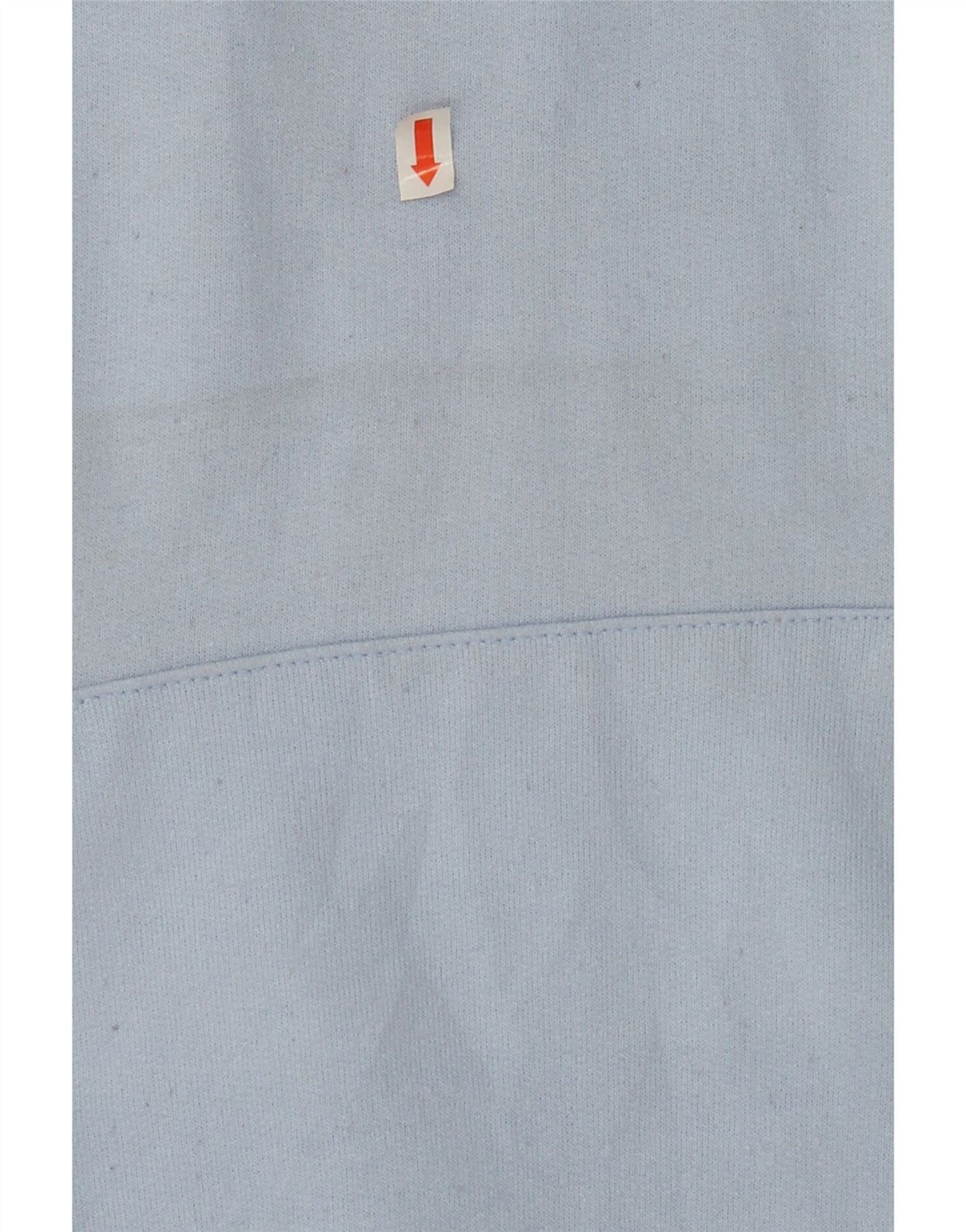 CHAMPION Womens Graphic Hoodie Jumper UK 16 Large Blue Polyester Vintage Champion and Second-Hand Champion from Messina Hembry 