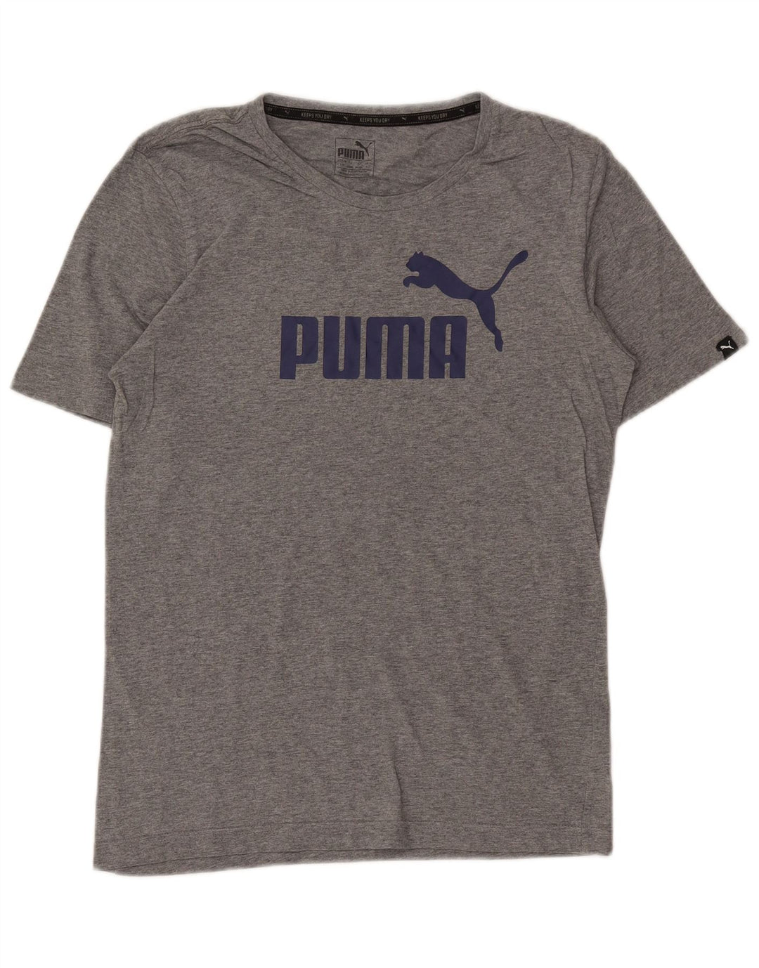 Ανδρικό γραφικό μπλουζάκι Puma, βαμβακερό μικρό γκρι χρώμα