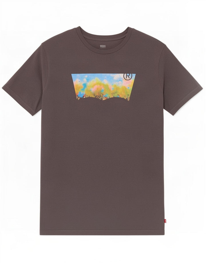 Ανδρικό γραφικό T-Shirt Levi's Top Large Grey
