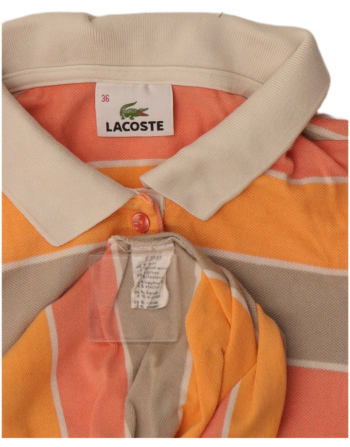 Lacoste γυναικείο μπλουζάκι πόλο μεγέθους 36 Μικρό πολύχρωμο βαμβακερό ριγέ