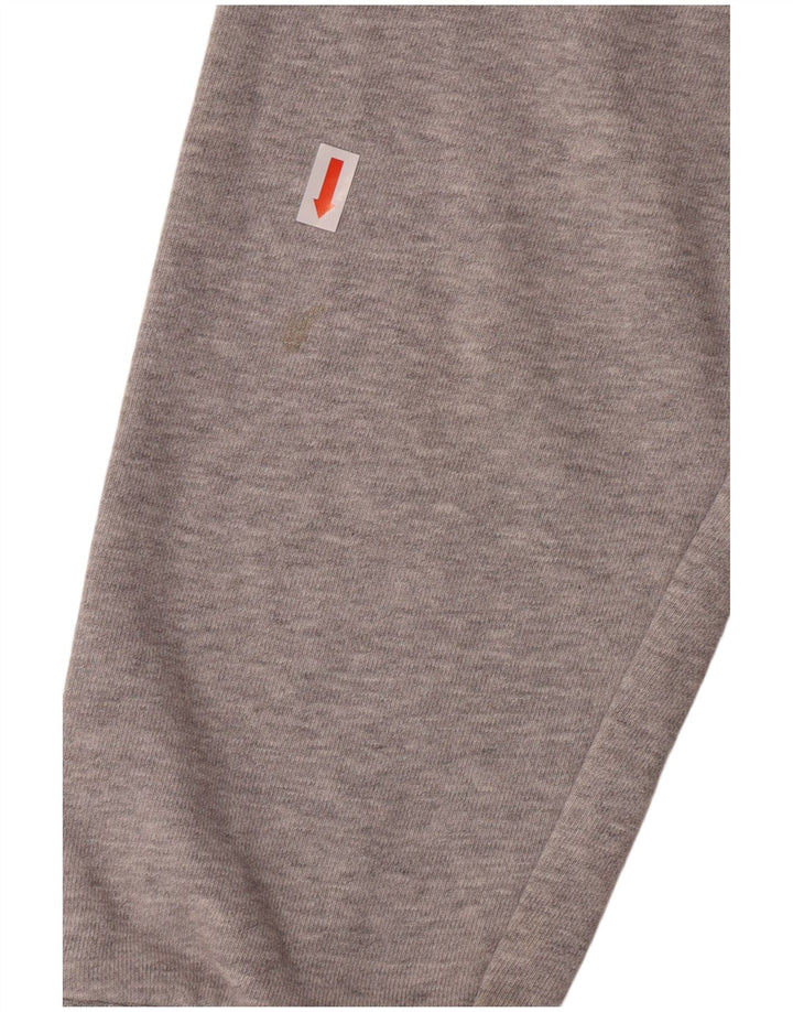 Ανδρικό γραφικό φούτερ ADIDAS Jumper μεγάλο γκρι βαμβακερό