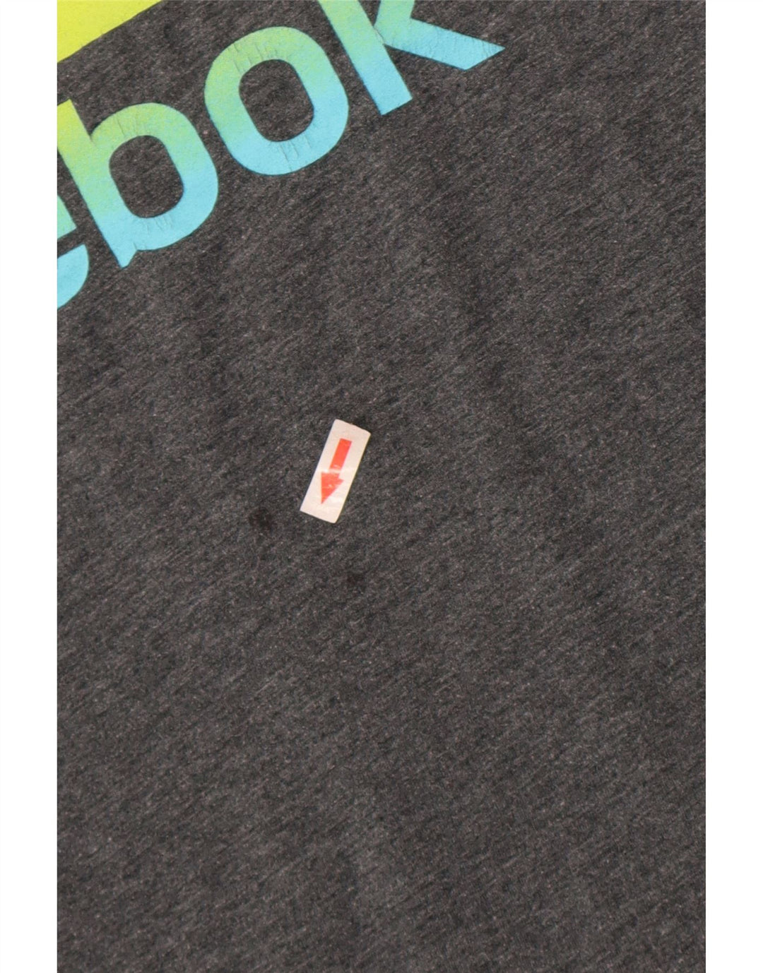 Ανδρικό γραφικό T-Shirt Reebok Top Large Grey Polyester