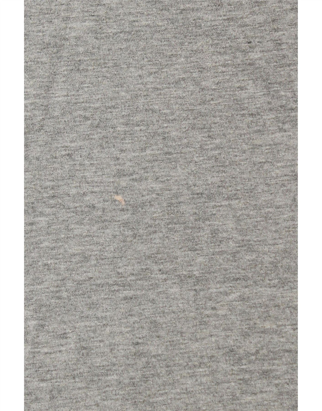 Ανδρικό γραφικό T-shirt CHAMPION Top Small Grey