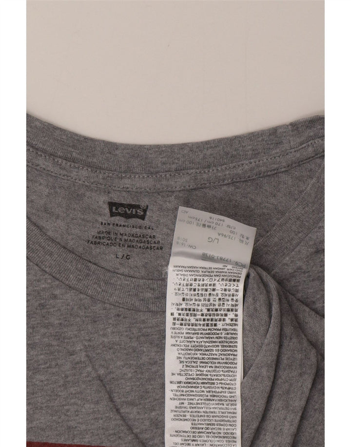 Ανδρικό γραφικό T-Shirt LEVI'S Top Large Grey