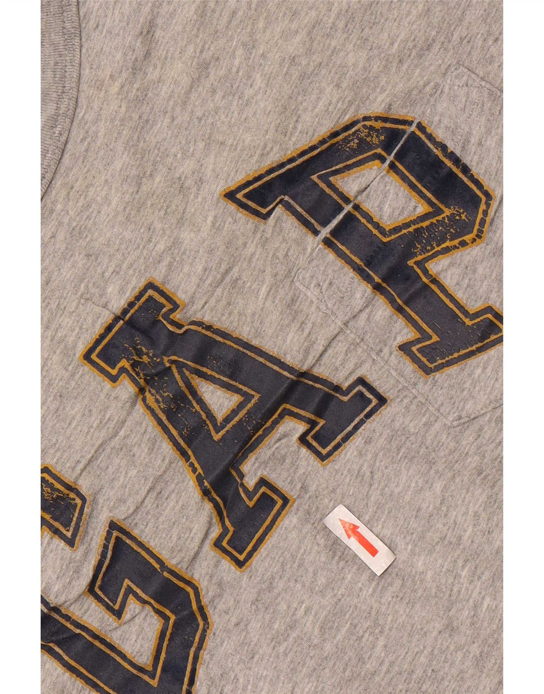 Ανδρικό γραφικό μπλουζάκι Gap Top Large Grey