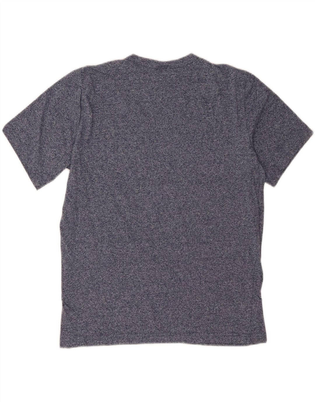 CHAMPION Mens Graphic T-Shirt Top Large Blue Flecked