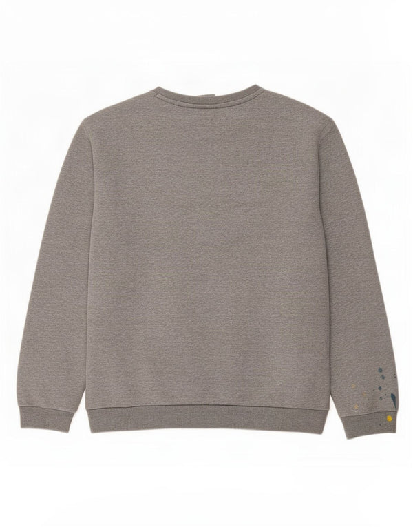 Ανδρικό φούτερ Puma Jumper Μεγάλο γκρι βαμβακερό