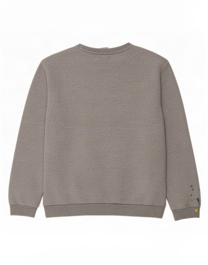 Ανδρικό φούτερ Puma Jumper Μεγάλο γκρι βαμβακερό