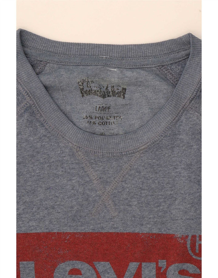 Ανδρικό γραφικό φούτερ Levi's Jumper Large Blue Polyester