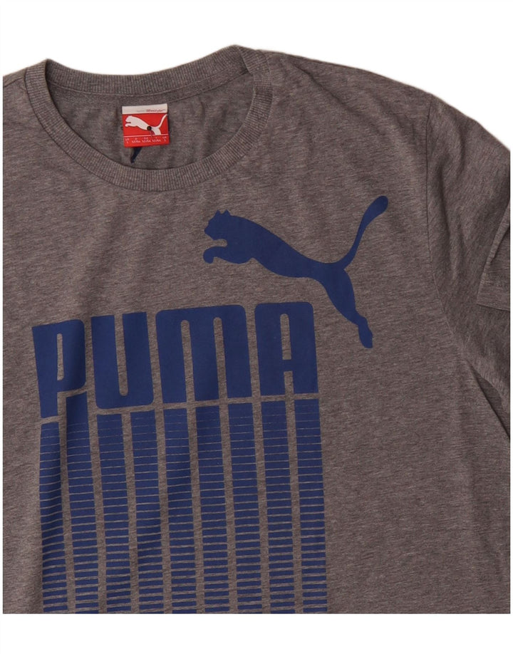 Ανδρικό γραφικό T-Shirt Puma Top Larg γκρι βαμβακερό