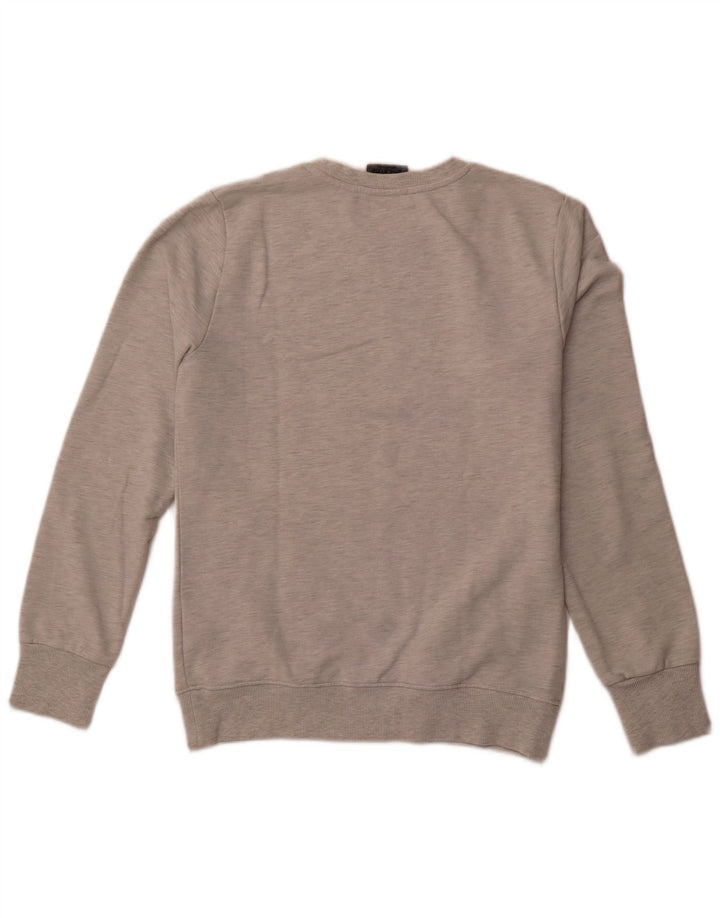 Ανδρικό γραφικό φούτερ SUPERDRY Jumper μεγάλο γκρι βαμβακερό