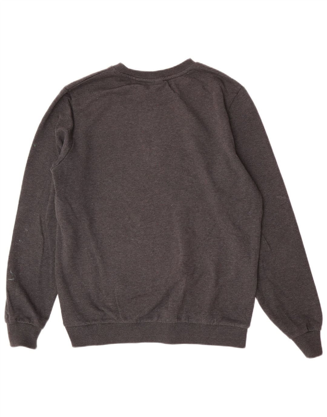 Ανδρικό φούτερ Puma Jumper Μεσαίο γκρι βαμβακερό