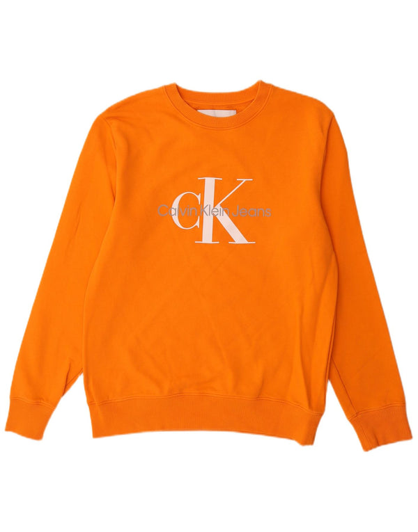 Ανδρικό γραφικό φούτερ Calvin Klein Jeans, μεσαίο πορτοκαλί βαμβακερό
