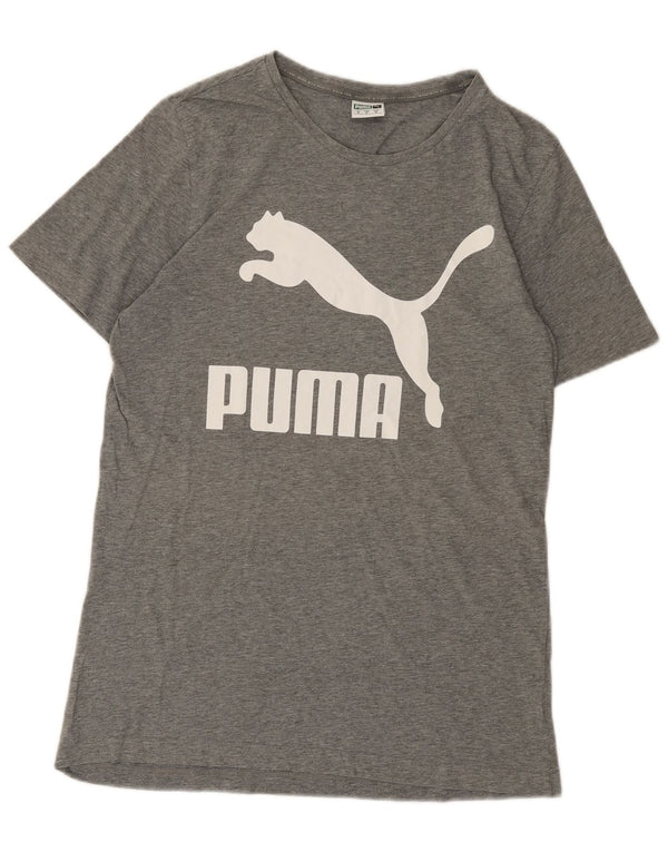 Ανδρικό γραφικό μπλουζάκι Puma Top Medium Grey Flecked