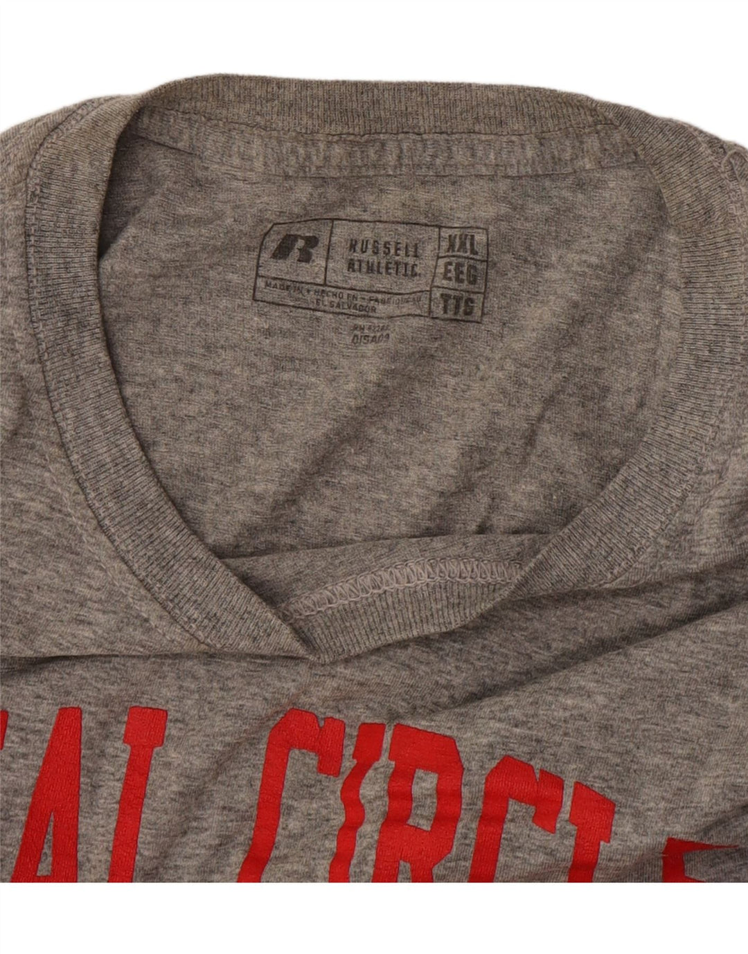 Ανδρικό γραφικό μπλουζάκι Russell Athletic Top 2XL Γκρι