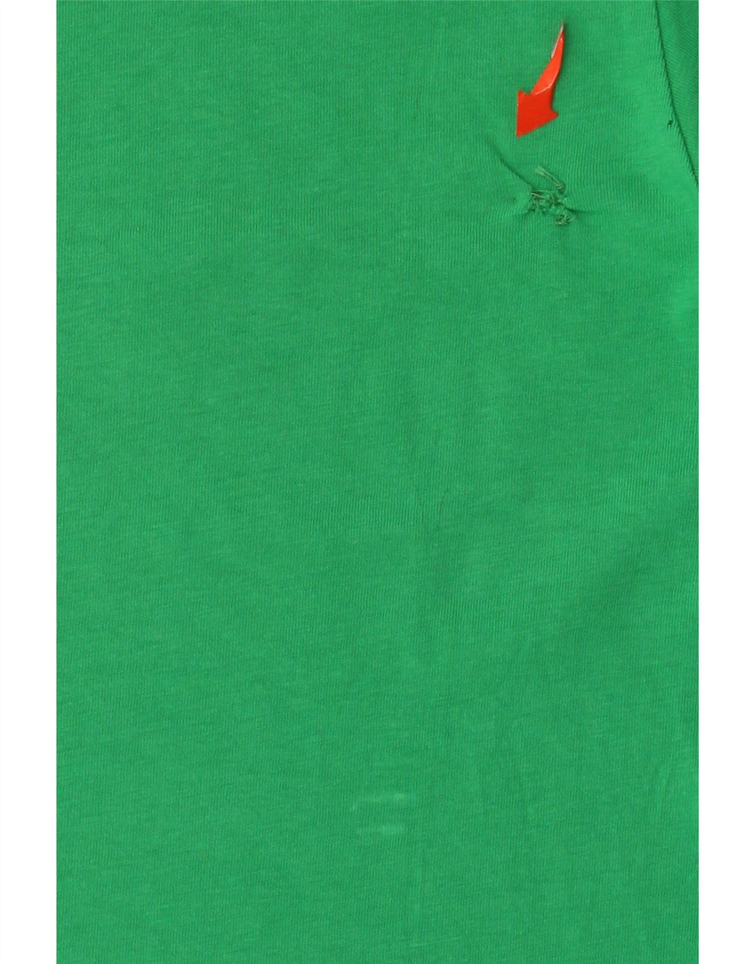 Ανδρικό γραφικό T-Shirt Champion Top Μεσαίο πράσινο βαμβακερό