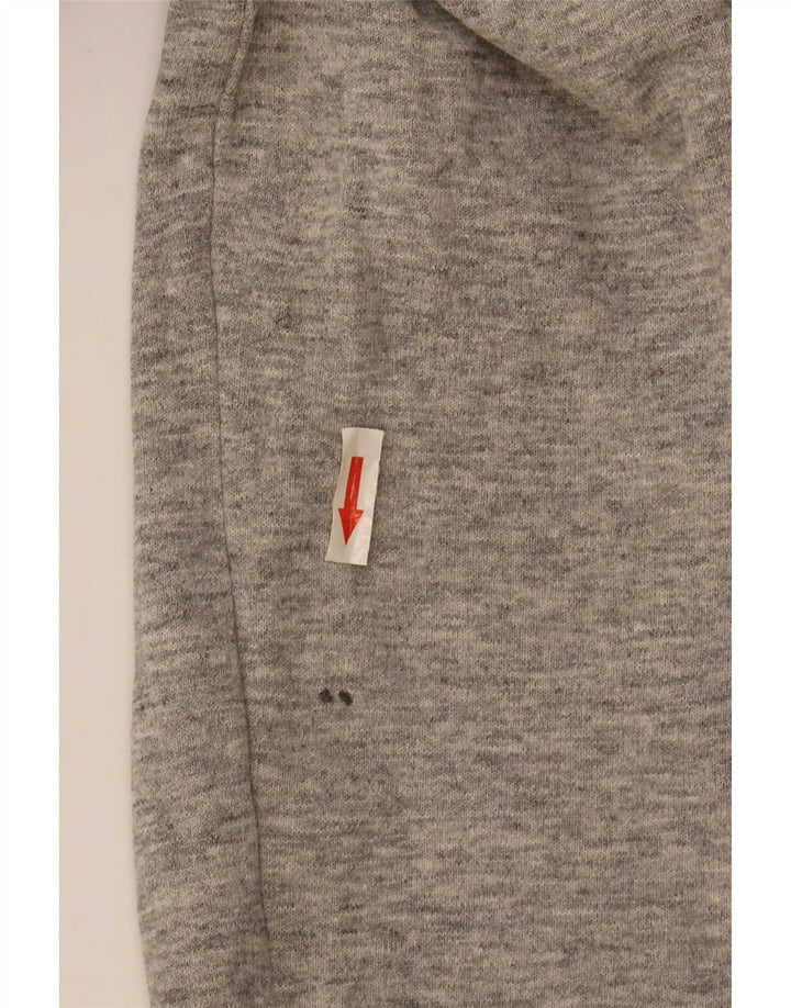 Ανδρικό γραφικό φούτερ Levi's Jumper XL Γκρι βαμβακερό
