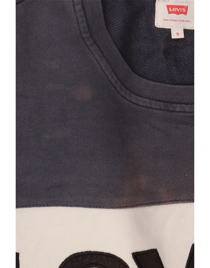 Ανδρικό γραφικό φούτερ Levi's Small Green Colourblock Βαμβακερό