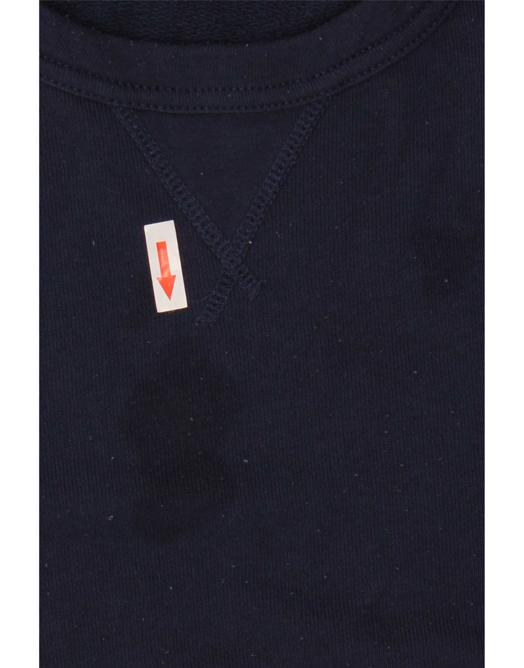 Ανδρικό φούτερ Polo Ralph Lauren Jumper Medium Navy Blue Cotton