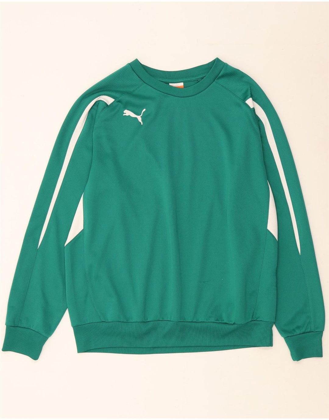 Ανδρικό φούτερ PUMA Jumper Μεγάλο πράσινο χρώμα, πολυεστέρας